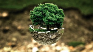 Aziende Ecosostenibili