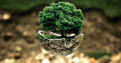 Aziende Ecosostenibili