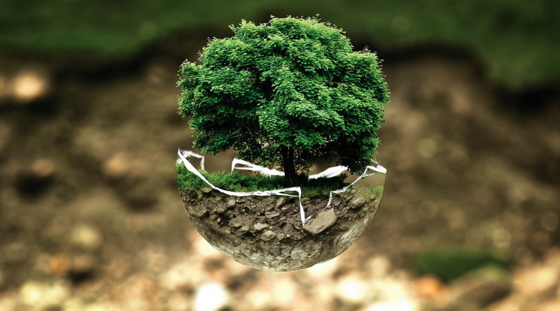 Aziende Ecosostenibili