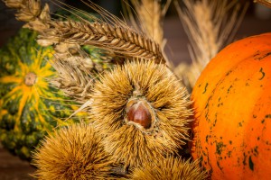 Sagre di ottobre