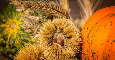 Sagre di ottobre