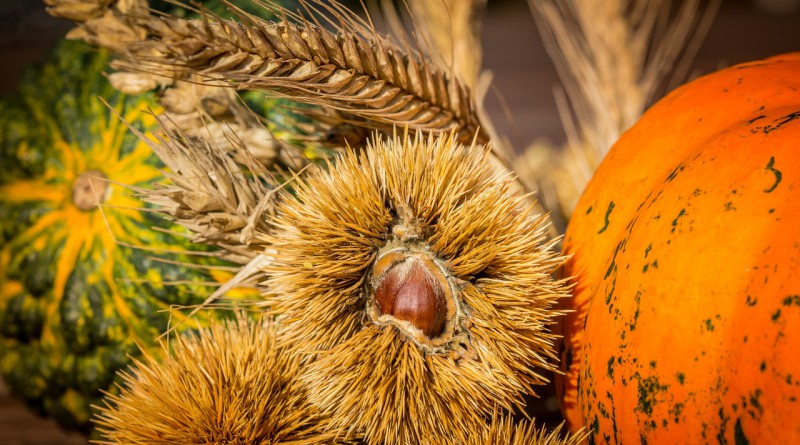 Sagre di ottobre