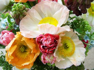 consegna fiori online