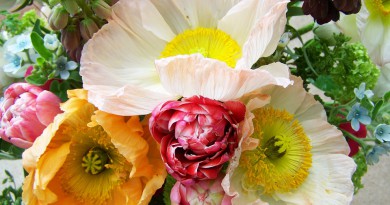 consegna fiori online
