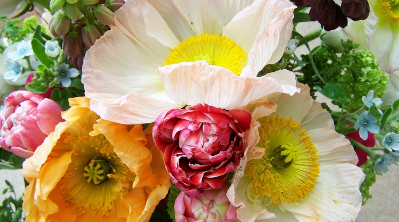 consegna fiori online
