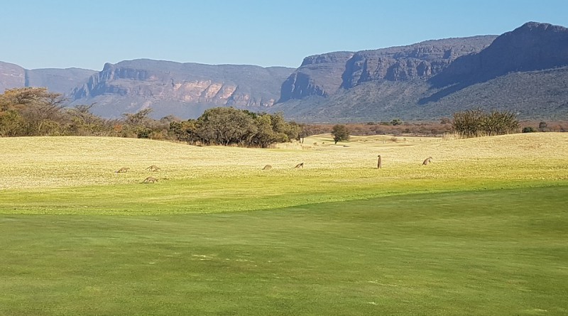 cosa vedere in sudafrica