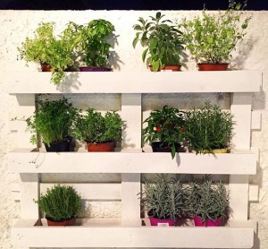 giardino verticale pallet