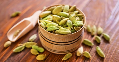 Cardamomo