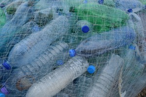plastica e ricerca