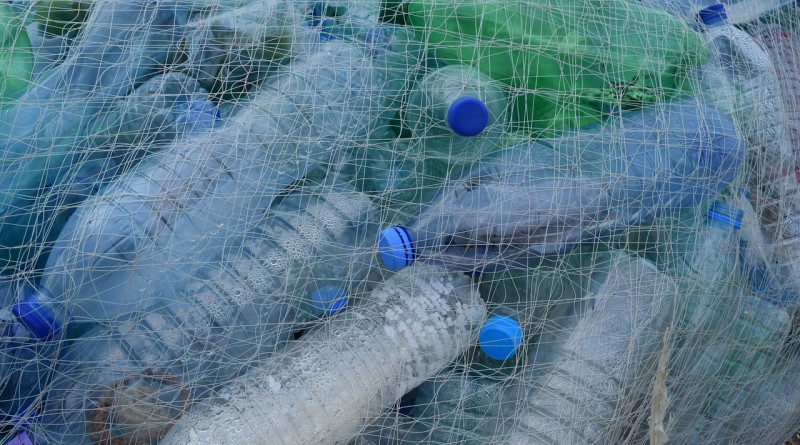 plastica e ricerca