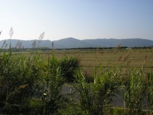 Piana di Luni