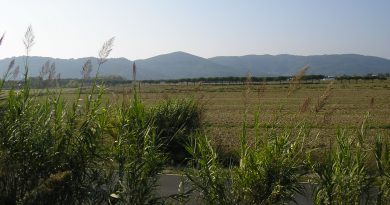 Piana di Luni
