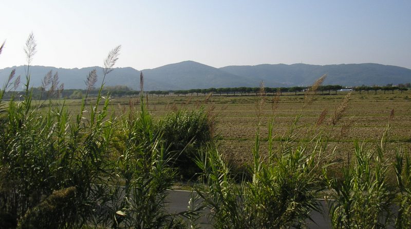 Piana di Luni