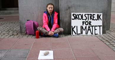 Greta Thunberg ecologia clima Fridays For Future
