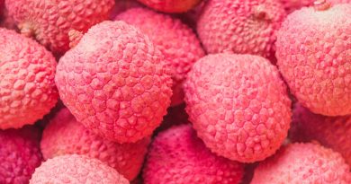 litchi-alberi-millenari
