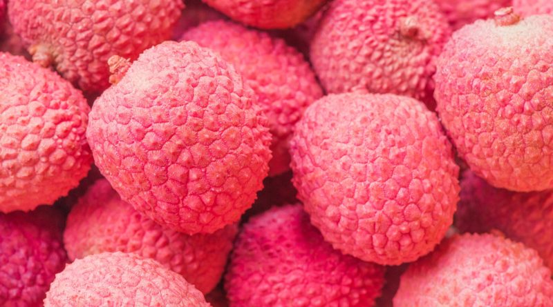 litchi-alberi-millenari