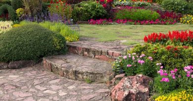 bonus giardino: tutti i dettagli