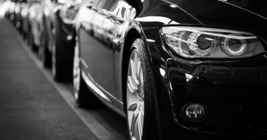 automobili in fila